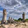 Stone Forest