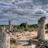 Stone Forest