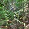 "Canyon of waterfalls" near Smolyan