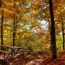 Autumn in Rhodopes near Rosovo village