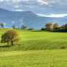 Fields near Plovdiv