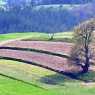 Spring fields near the Rhodope villages