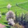 Spring fields near the Rhodope villages