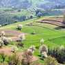 Spring fields near the Rhodope villages