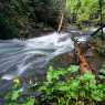 "Canyon of waterfalls" near Smolyan