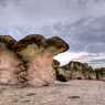 Stone mushrooms