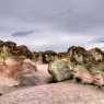 Stone mushrooms