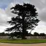 Woburn Abbey