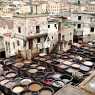 Medina of Fes