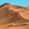 Sand dunes of the Sahara