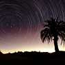 Startrails in Sahara