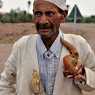 Moroccan male