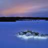 Blue Lagoon