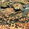 Creek near the path