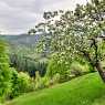 Villages in the Rhodopes