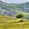 Fields near Kardzhali