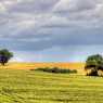Fields near Stara Zagora