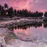 Purple sunset over the pond