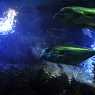 Aquarium Forum Istanbul