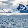 Perito Moreno