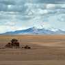 From the Andes to the Atacama