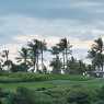 Landscape of Bali