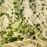On the way to Shushhtar