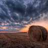 Bales of hay