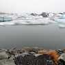 Glacier Lagoon