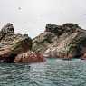 Coast of Peru