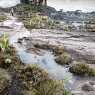 Roraima - the strangest mountain