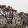 Roraima - the strangest mountain
