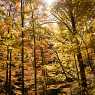 Autumn in the Rhodopes