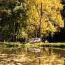 Autumn in the Rhodopes