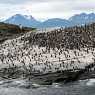 The coast of Ushuaia