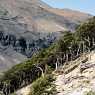 Изкачване към Torres Del Paine