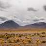 From the Andes to the Atacama