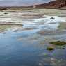 Landscapes from Atacama