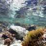 Snorkeling in Malta