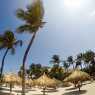 Coast of Aruba