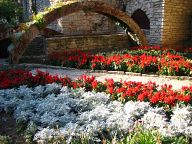 Garden in Balchik