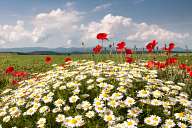 Near Kazanlak