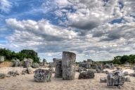 Stone Forest