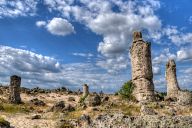 Stone Forest