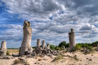 Stone Forest