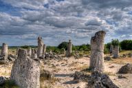 Stone Forest