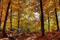 Autumn in Rhodopes near Rosovo village