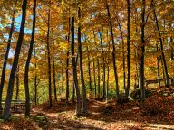 Autumn in Rhodopes near Rosovo village