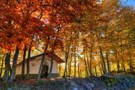 Autumn in Rhodopes near Rosovo village