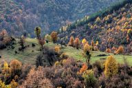 Mountain meadows near villages around Ardino